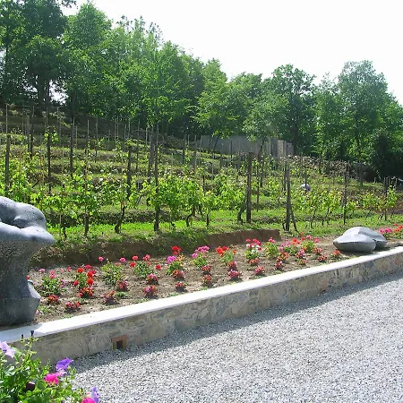 Galleria Ars Apua Bed & Breakfast Carrara