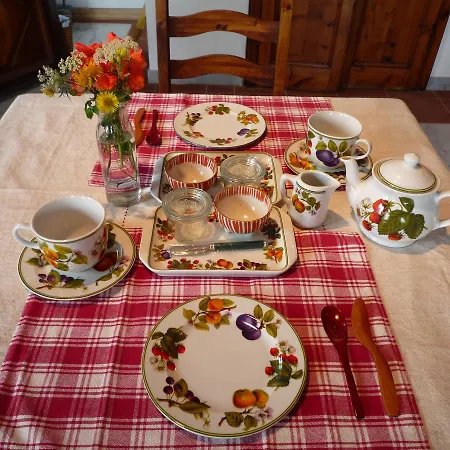 Galleria Ars Apua Bed & Breakfast